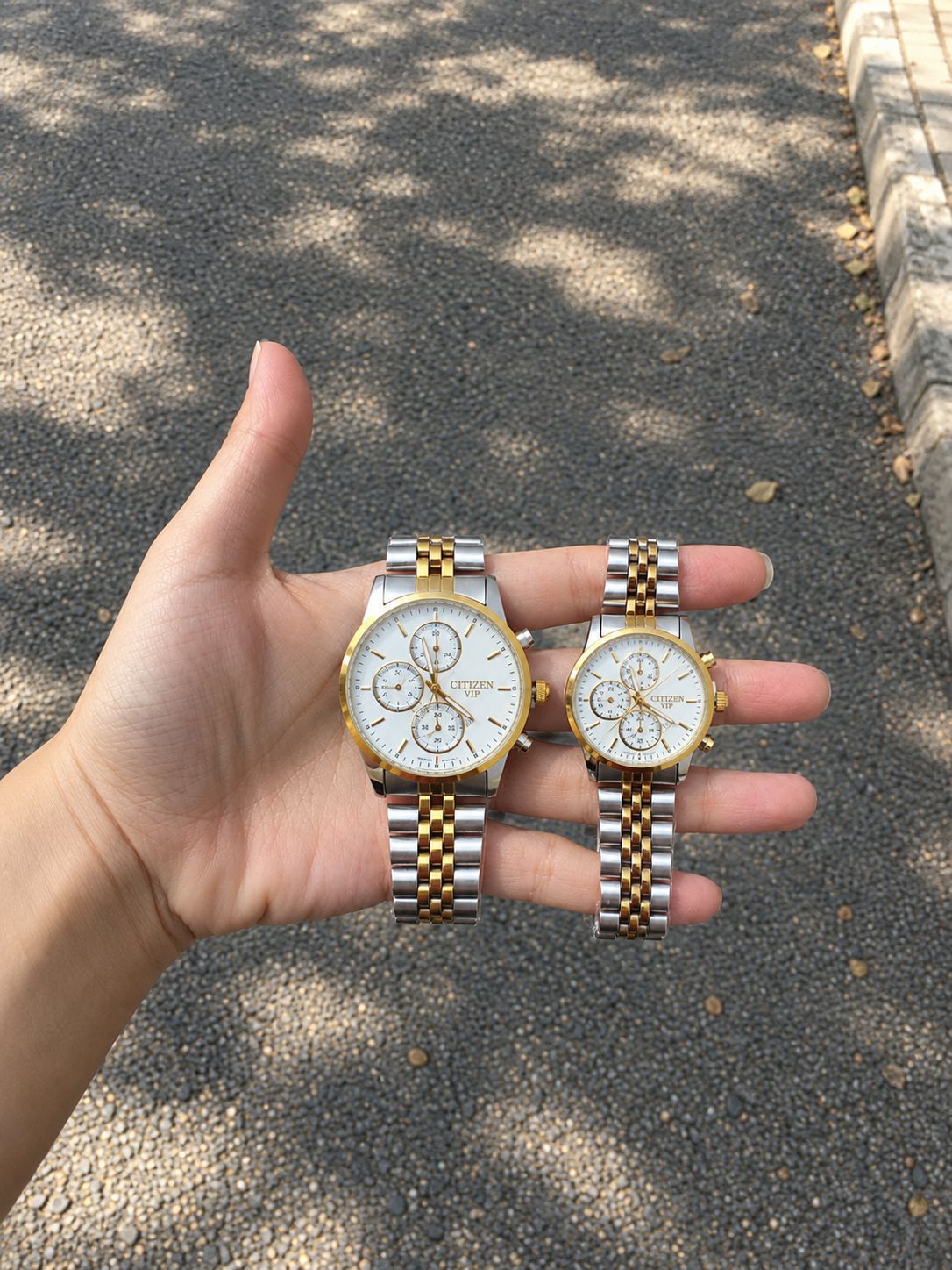 CITIZEN VIP